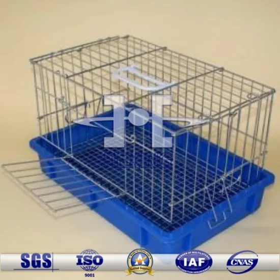 Cavia porcellus cage discount sale