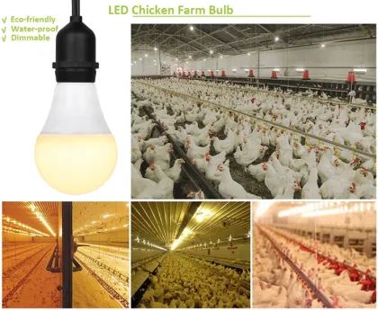 Agrieso Poultry Farm LED Bulb Light System