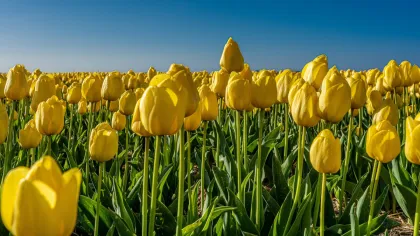 test WEDDING DRESS wh WEDDING DRESS wh WEDDING DRESS wh WEDDp