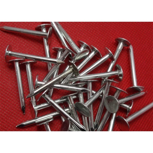 China Electro Galvanized Clout Nails Manufactory