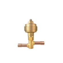 The Electronic expansion valve