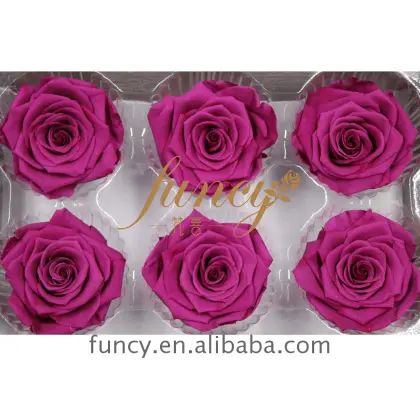 Yunnan FuncyFlora's Best 5-6cm Purple Natural Immortal Preserved Roses