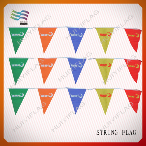Triangular Printed Paper Decorativestring Flags (HYSF-AF007)