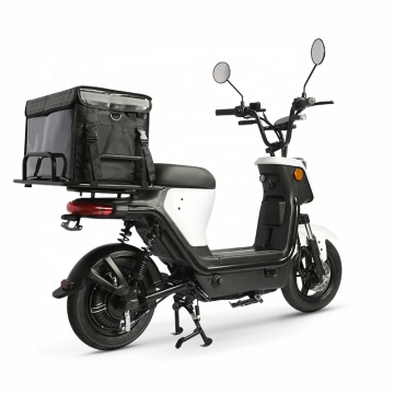Affordable & Stylish 48V 24AH Electric Scooter with LED Lights - EEC & COC Certified