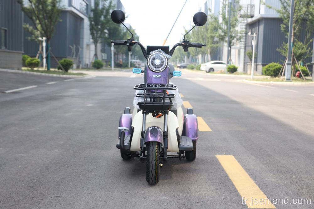 Tricycle électrique de batterie au lithium