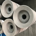 石墨霉菌和模具