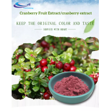 Cranberry Powder Cranberry Extract 25% Proanthocyanidin