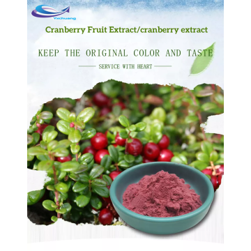 Cranberry Powder Cranberry Extract 25% Proanthocyanidin