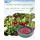 Cranberry Powder Cranberry Extract 25% Proanthocyanidin