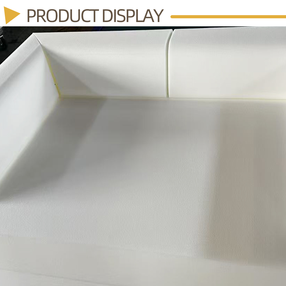 Double-Sided Thickened Pet Sponge X