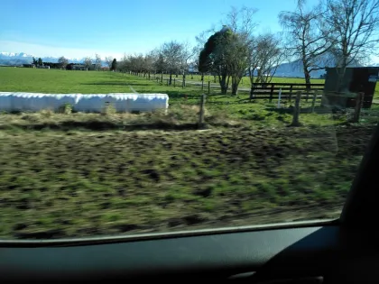 Standard Agriculture Baler Wrapping Film