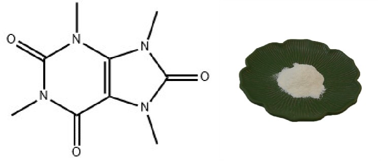 Picrophylline Powder