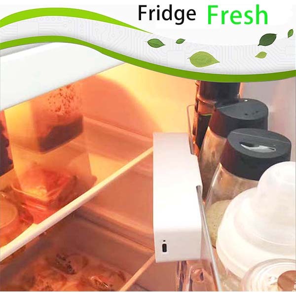 Rechargable Ozone Air Purifier for closed cabinet