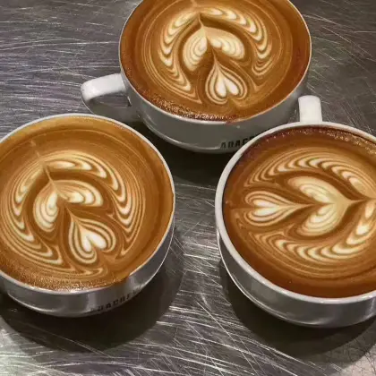 2022 Comandante Coffee Grinder Manual: Spices and Coffee Grinder