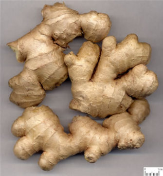 ginger