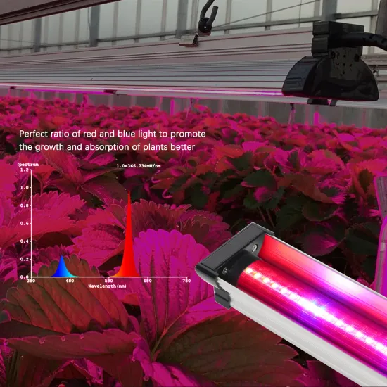 EDK 18W Red Spectrum LED Grow Light Bars for Indoor Plants