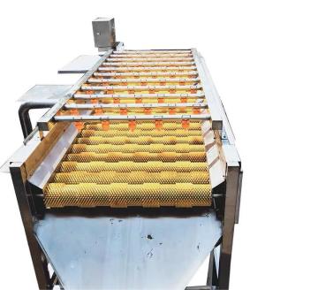 Automatic Vegetable Peeler and Washer - Carrot, Potato, Cassava