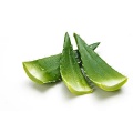 Bio -gefrierte getrocknete Aloe Vera -Gel -Extraktpulver