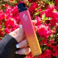 POCO Recharge besar 5000 Vape sekali pakai