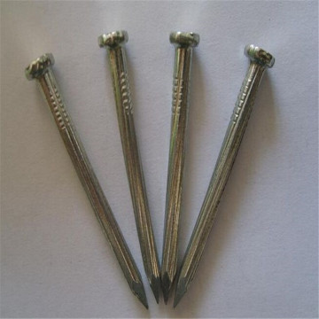 Electro Galvanized Concrete Nails and Steel Nails