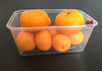 Manufacturer Professional Supply Plastic Food Container 1000ml
