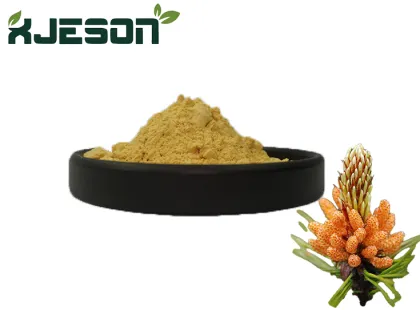Natural Pine Pollen Powder