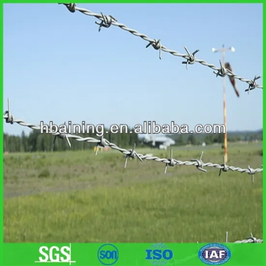 Hot Sales China Barbed Wire Roll Price Fence(Factory)