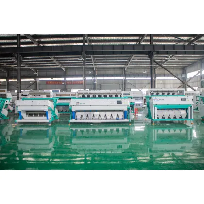 Photo Processing Technology for Cashew Color Sorter Machine