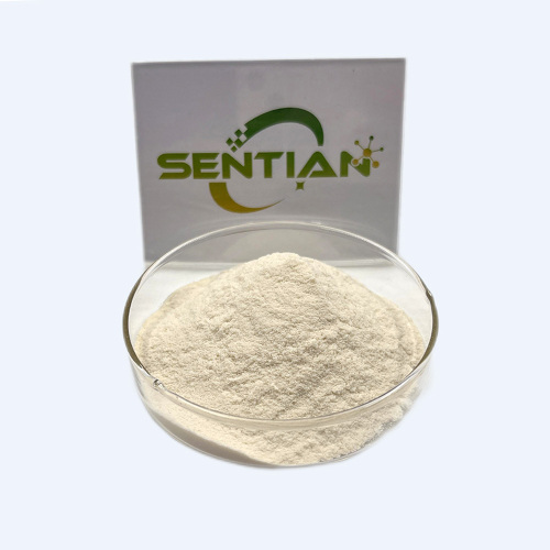Premium Plant Extract Hydroxycitric Acid