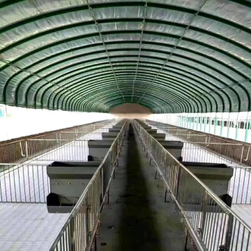 Single Greenhouse For Poultry Breeding