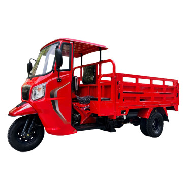2016 Gas Motor Tricycle Trimoto Cargo Transport for China (111-150cc)