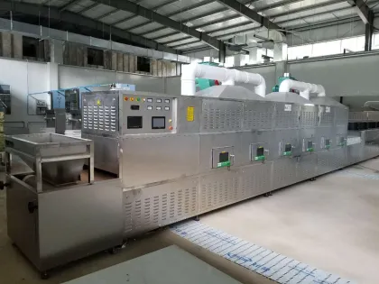 Automatic Microwave Belt Dryer for Morel Mushrooms and Other Vegetables - China Manufacturer