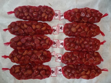 Best Quality New Crop Fresh Chestnut