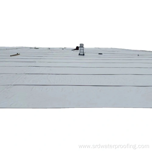 Eco-friendly Pvc Waterproofing Membrane Sheet China Manufacturer