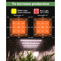 Estufas agrícolas LED Grow Light Full Spectrum 240W