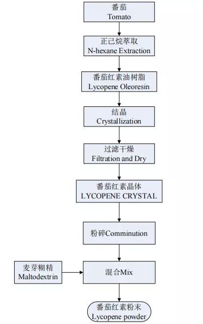 Flow Chart of Lycopene