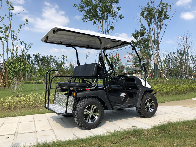 2021 Venta caliente de alta calidad 5KW Electric UTV con CEE