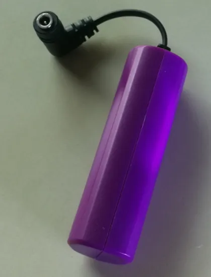 3.7V 2400mAh Rechargeable Batteries (AC105)