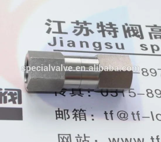 Stainless steel female thread NPT 1'' Check Valve