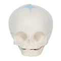 /msite/products/detail/productid/63591118/id/1517769.html