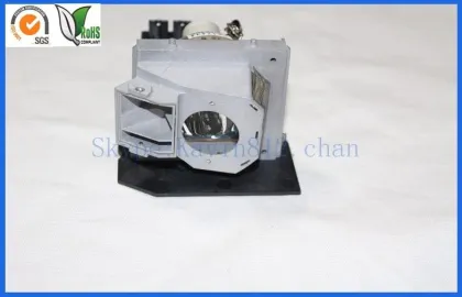 Pubs Infocus Video Projector Lamp With Housing , 2000 Hours