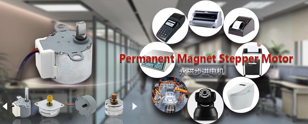 permanent magnet stepping motor