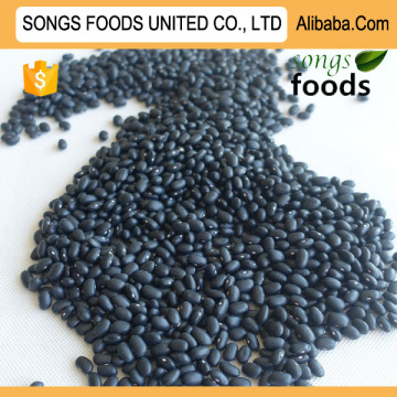 Chinese Kidney Beans Black Kidney beans