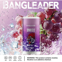 BANG LEADER 20000 Puffs 650mah Large In Stock
