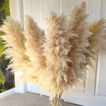 Dried Pampas Grass Floral Decorations - Black 20" 45 Stems for Wedding and New Year