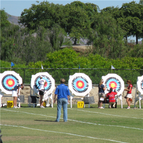 Tiro con l'arco poliestere antiretro Netting