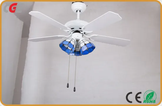 LED Fan Light Indoor Modern DC Remote Control Ceiling White Fan Light
