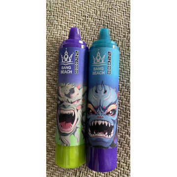 OEM ODM Customize Rechargeable Vape Bang Beach 22000