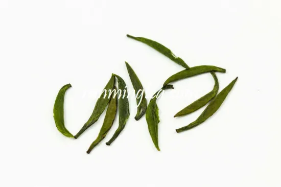 Organic Green Bamboo Leaf Zhu Ye Qing tea