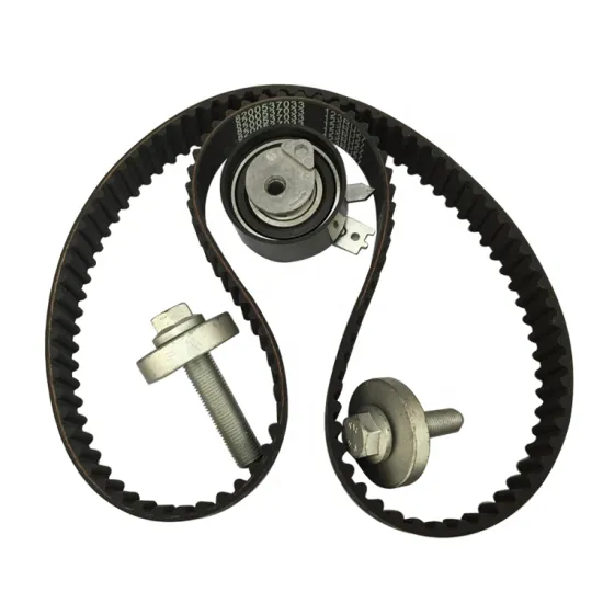 Timing Belt Kit for Renault Clio Megane Scenic Kangoo 1.5 Dci